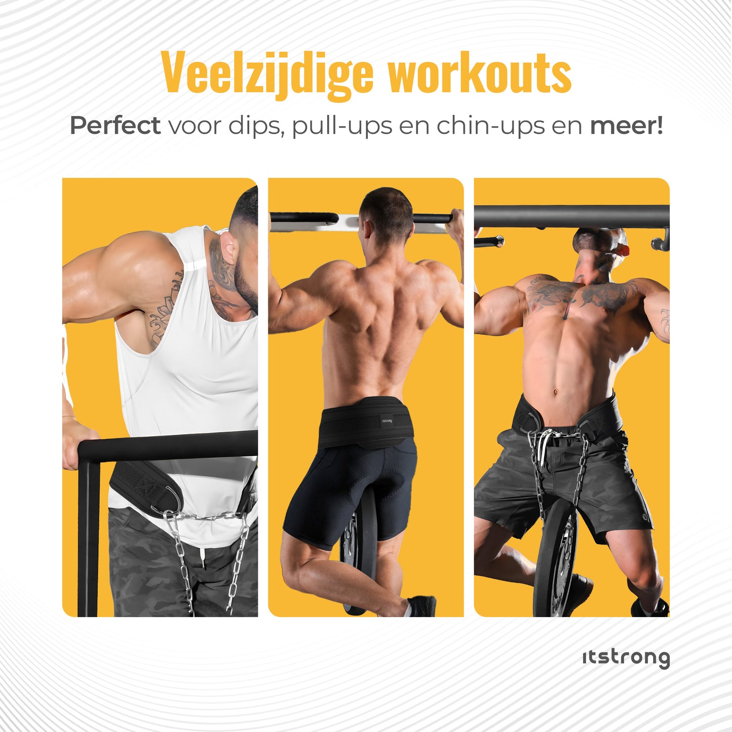 Dipping Belt