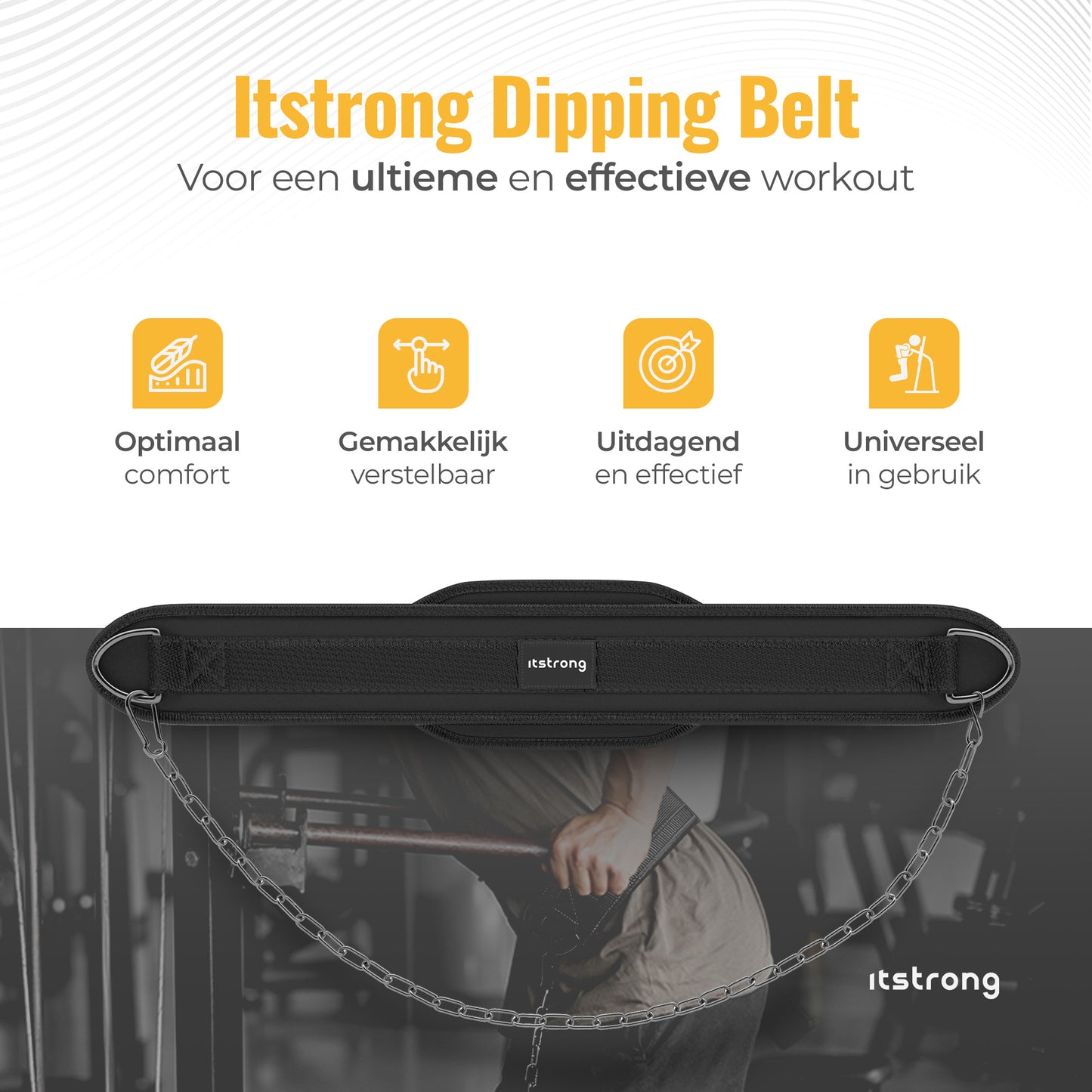Dipping Belt