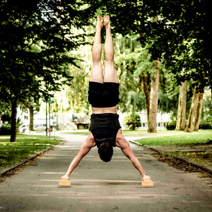 Parallettes