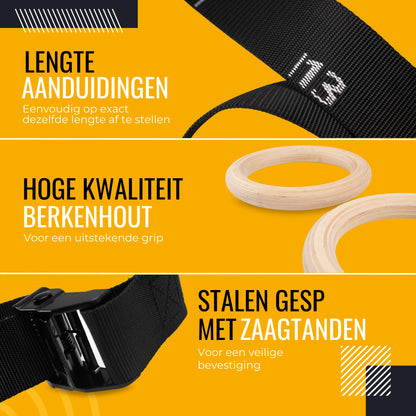 Gym Rings